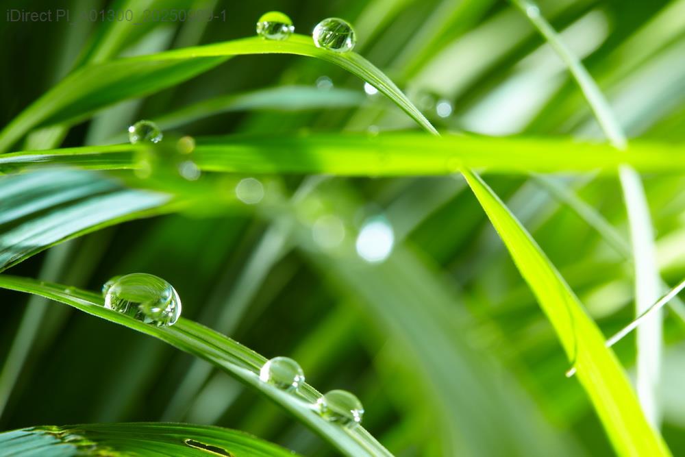 「綠色能源新手必讀！揭秘10大高效使用秘訣，輕鬆變身環保達人！」示意圖